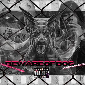 Beware Of Dog (feat. JUMPOUTSLEEZE) (Explicit)