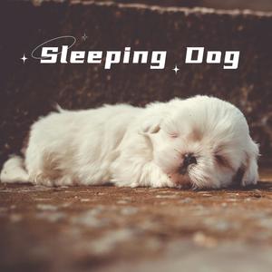 Javier Cruz - Weight