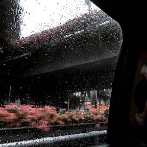 大头针 Official - 飘摇 (男生版)