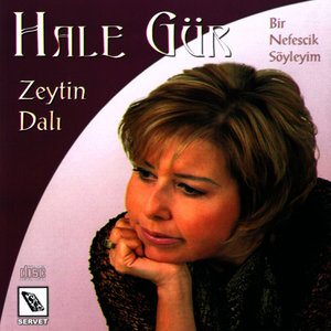 Zeytin Dalı