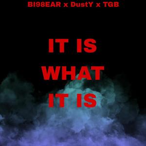 It Is What It Is (feat. DustY & TGB) [Explicit]