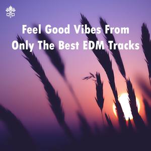 Feel Good Vibes From Only The Best EDM Tracks