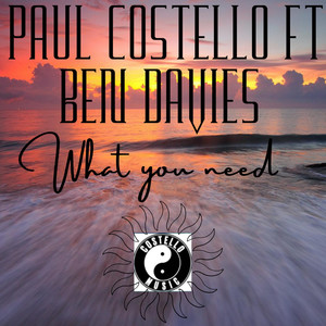 What You Need (Original Mix)
