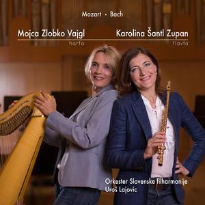 Karolina Šantl Zupan - Mojca Zlobko Vajgl