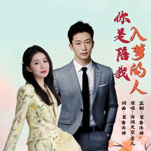 你是陪我入梦的人 (对唱版)