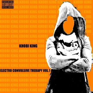 Electro Convulsive Therapy, Vol. 1