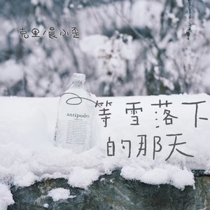 等雪落下的那天