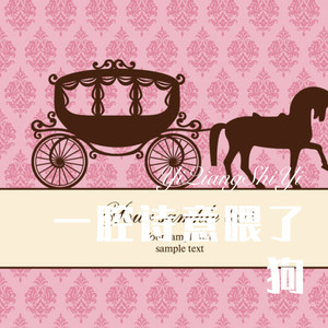 一腔诗意喂了狗 (Remix)