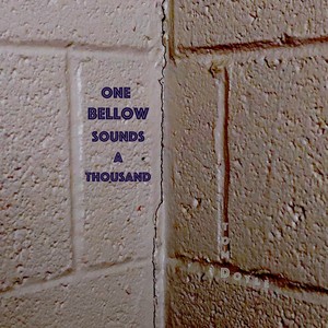 One Bellow Sounds a Thousand