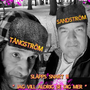 Jag vill aldrig se dig mer (feat. Arne Sandström)