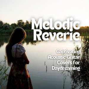 There She Goes (Arr. for Guitar)