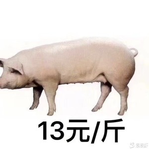 鬼新娘 (DJ国会鼓)封面