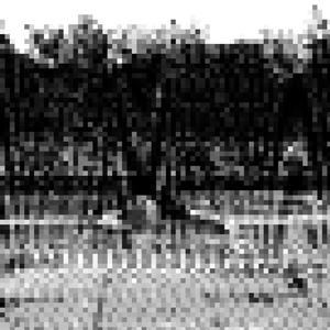 Back to Hel (Explicit)