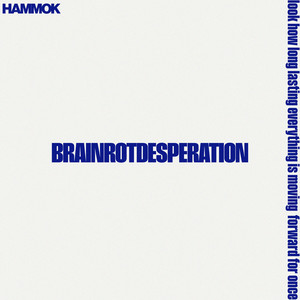 Brainrotdesperation (Explicit)