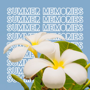 Summer Memories: Hawaiian Chill Out Music for Good & Positive Energy