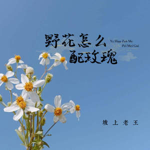 野花怎么配玫瑰