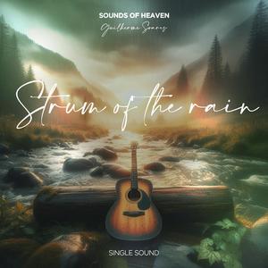 Strum of the rain