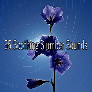 55 Soothing Slumber Sounds