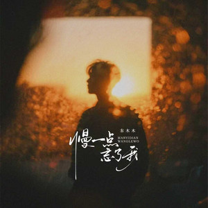 慢一点忘了我 (谢谢你爱过我)