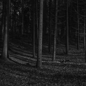 I Don't Care (Mixtape)