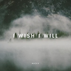 I Wish I Will (Explicit)