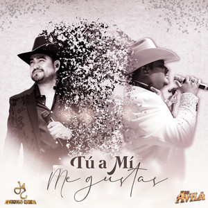 Tu A Mi Me Gustas