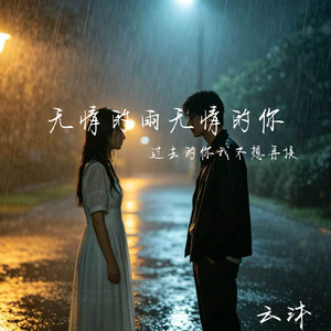 无情的雨无情的你(过去的你我不想再提起)