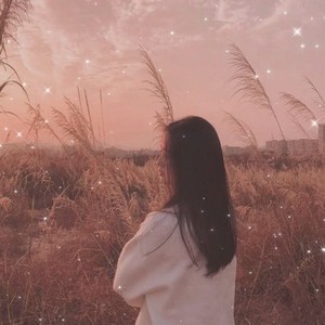 夜的钢琴曲 (DJ版)