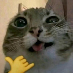 I got bored (feat. Ritzful)