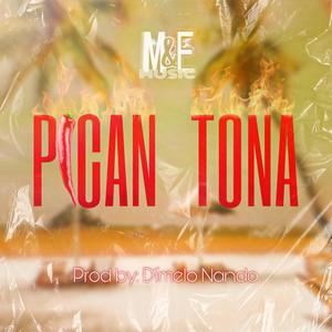 Pican Tona