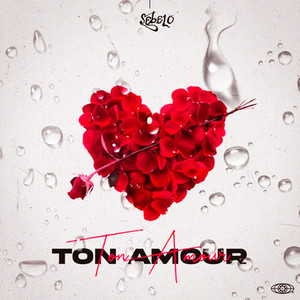 Ton amour (Explicit)