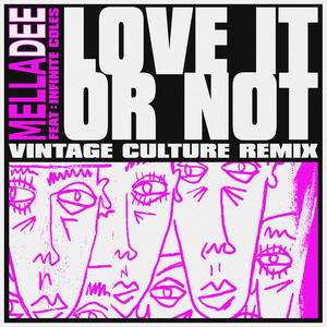 Love It or Not(feat. Infinite Coles) (Vintage Culture Remix|Explicit)