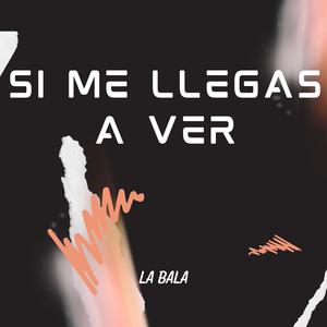 Si Me Llegas a Ver (Explicit)