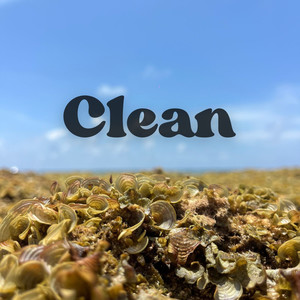 Clean