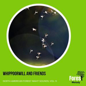 Whippoorwill and Friends - North American Forest Night Sounds, Vol. 9