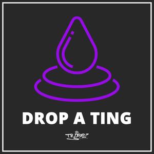 Drop a Ting (Explicit)
