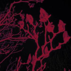 shake you body (pord.by 澜)