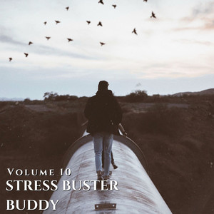 Stress Buster Buddy Vol 10 (Explicit)