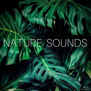 Nature Sounds