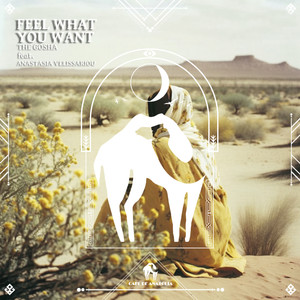 Feel What You Want (Radio Edit)