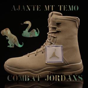 Combat jordans (feat. Mt Temo) [Explicit]