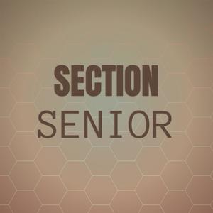 Section Senior