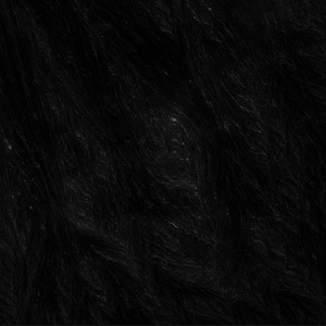 運命の果て、あるいは星屑の彼方