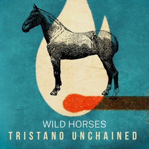 Wild Horses