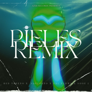 Pieles (Remix) [Explicit]