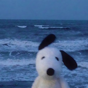 นิทานเรื่องนี้ไม่มีเธออีกต่อไป (Explicit)