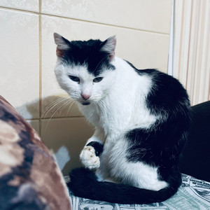 Без границ (Explicit)