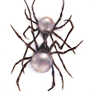 Make Love (Explicit)