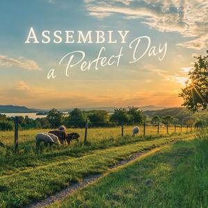 Every Time The Phone Rings