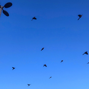 Ghostear (Decir Lo Que Sientes)